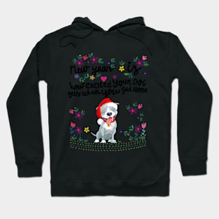 New year Is Excited Your Dog Get When You Get Home Hoodie